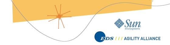 Sun Microsystems, EDS, and Agility Alliance Logos